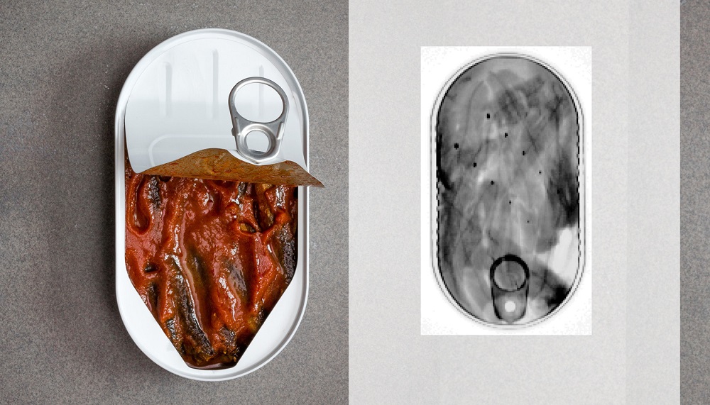 Foreign body detection in canned fish Foreign body detection in canned fish